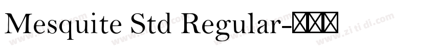 Mesquite Std Regular字体转换